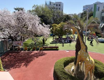 沖学園 学校法人沖学園 | 学校法人沖学園